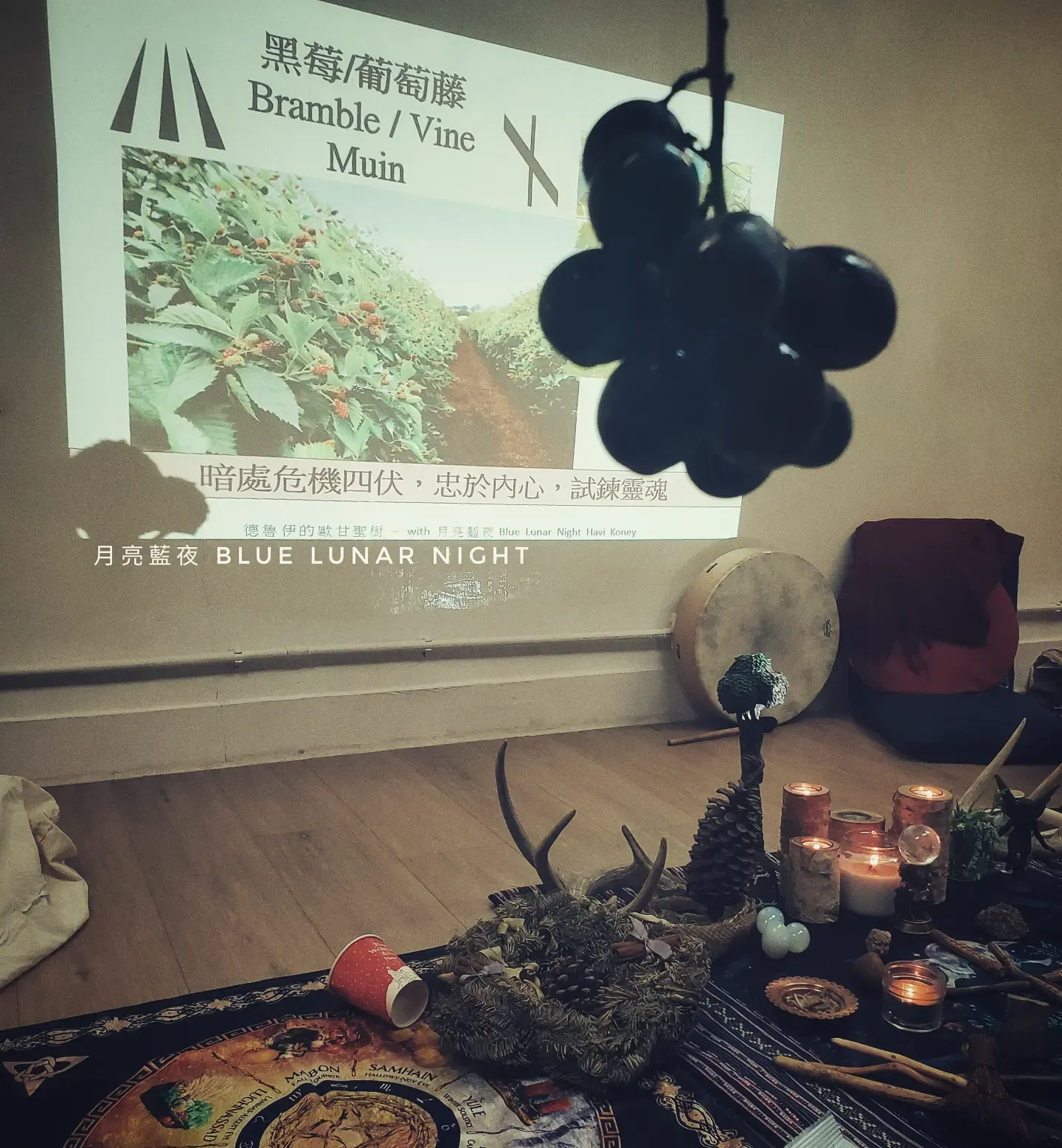 Shamanic Soul Healing Journey